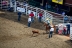 2017-07-10, 066, Calgary Stampede, AB, Tie Down Roping