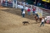 2017-07-10, 077, Calgary Stampede, AB, Tie Down Roping