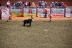 2017-07-10, 085, Calgary Stampede, AB, Steer Riding