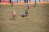 2017-07-10, 112, Calgary Stampede, AB, Steer Riding