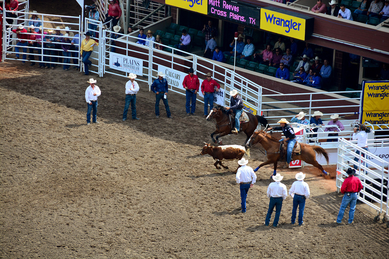 2017-07-10, 113, Calgary Stampede, AB, Steer Wrestling