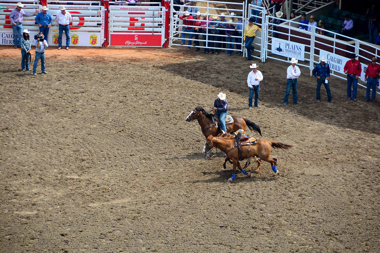 2017-07-10, 114, Calgary Stampede, AB, Steer Wrestling