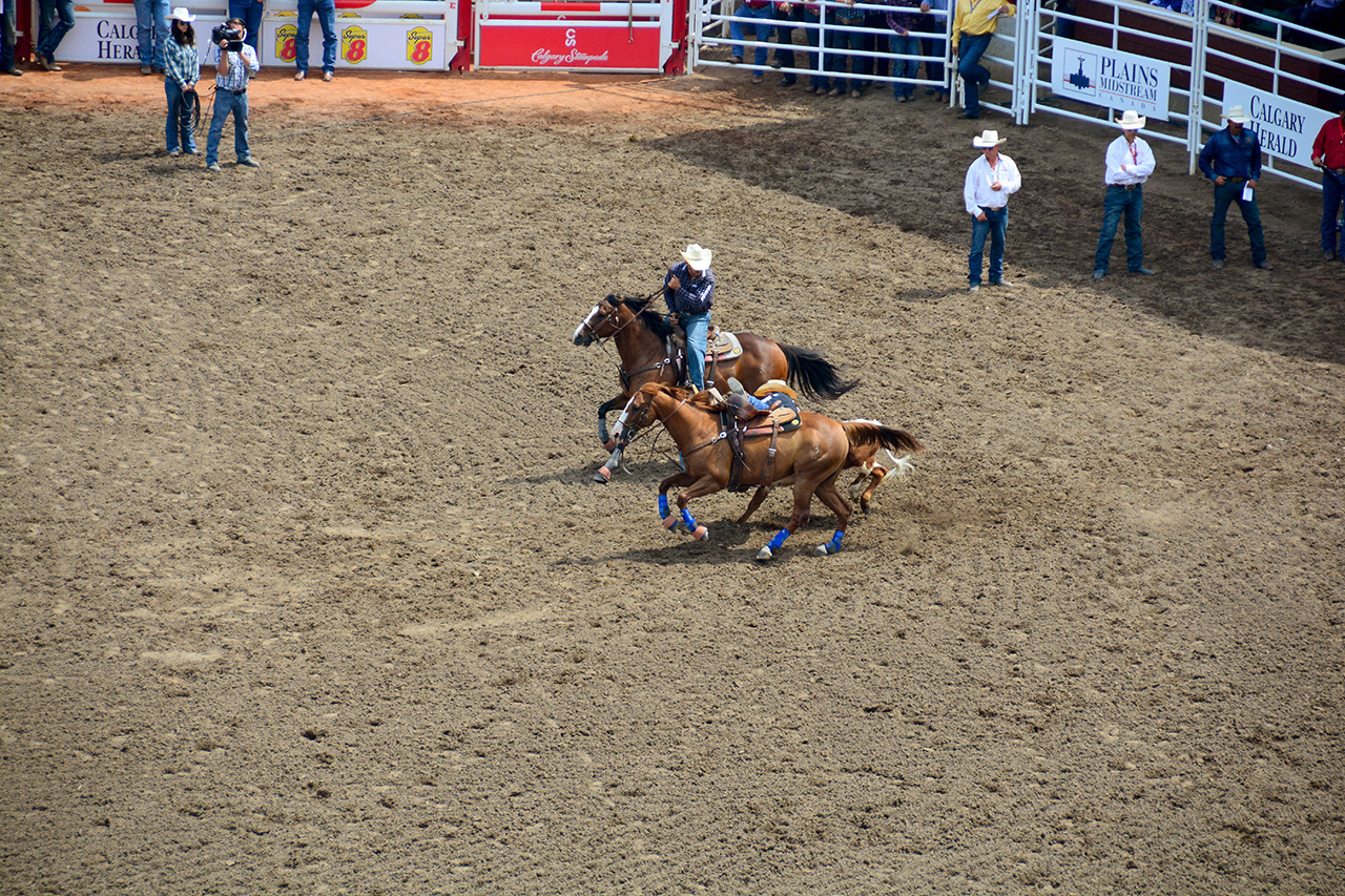 2017-07-10, 115, Calgary Stampede, AB, Steer Wrestling