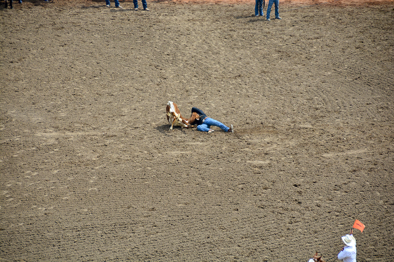 2017-07-10, 118, Calgary Stampede, AB, Steer Wrestling