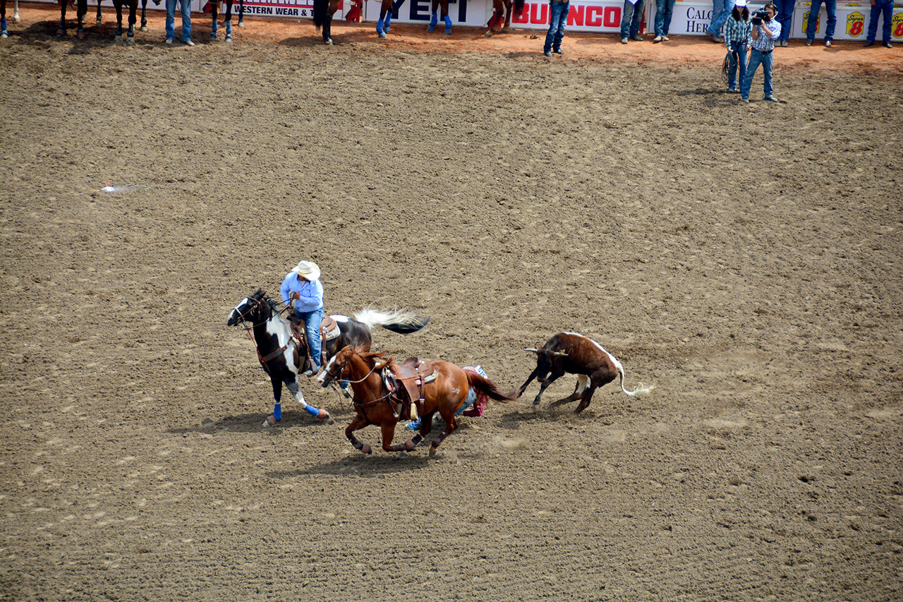 2017-07-10, 124, Calgary Stampede, AB, Steer Wrestling