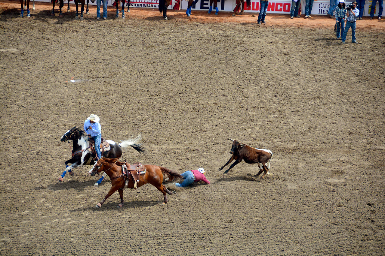 2017-07-10, 125, Calgary Stampede, AB, Steer Wrestling