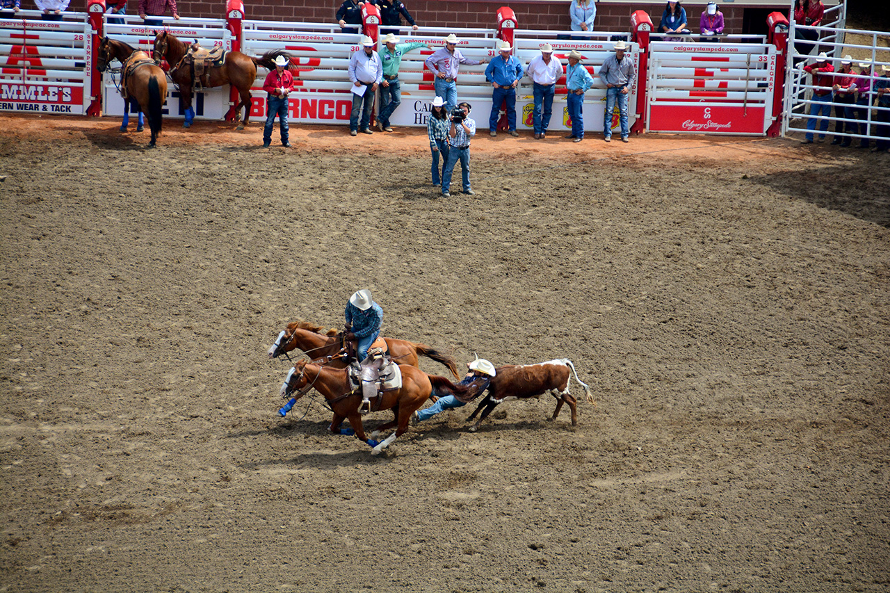 2017-07-10, 129, Calgary Stampede, AB, Steer Wrestling