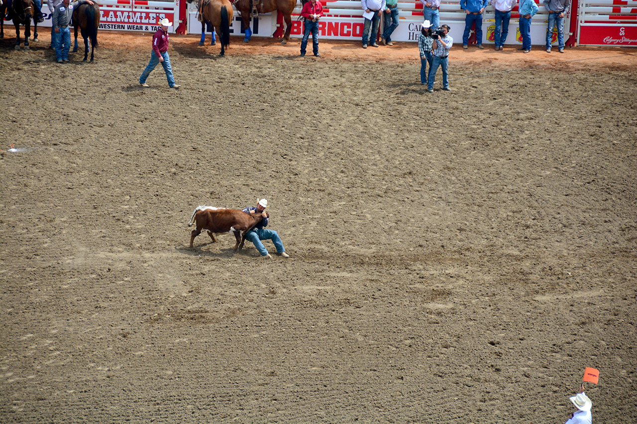 2017-07-10, 130, Calgary Stampede, AB, Steer Wrestling