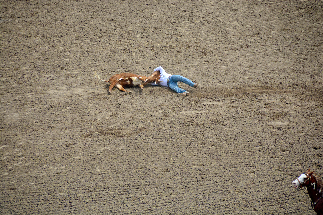 2017-07-10, 136, Calgary Stampede, AB, Steer Wrestling