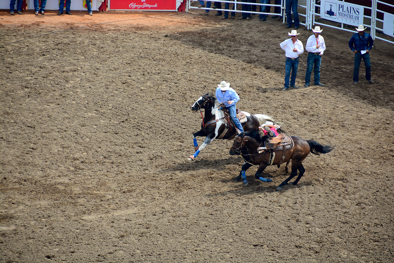 2017-07-10, 137, Calgary Stampede, AB, Steer Wrestling