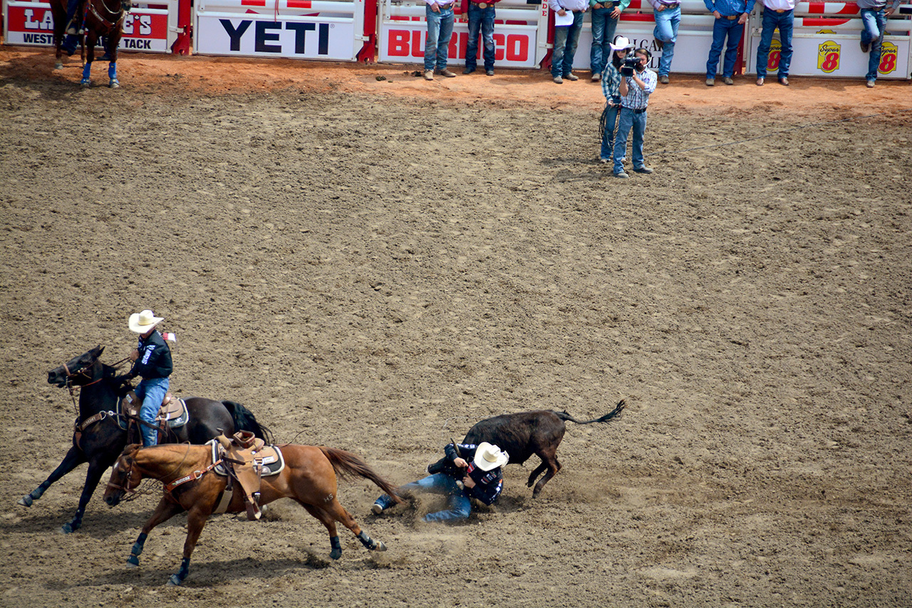 2017-07-10, 144, Calgary Stampede, AB, Steer Wrestling