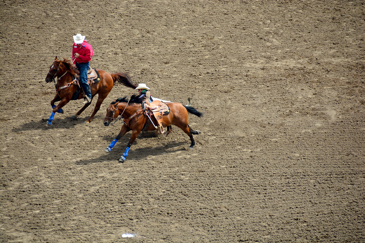 2017-07-10, 148, Calgary Stampede, AB, Steer Wrestling