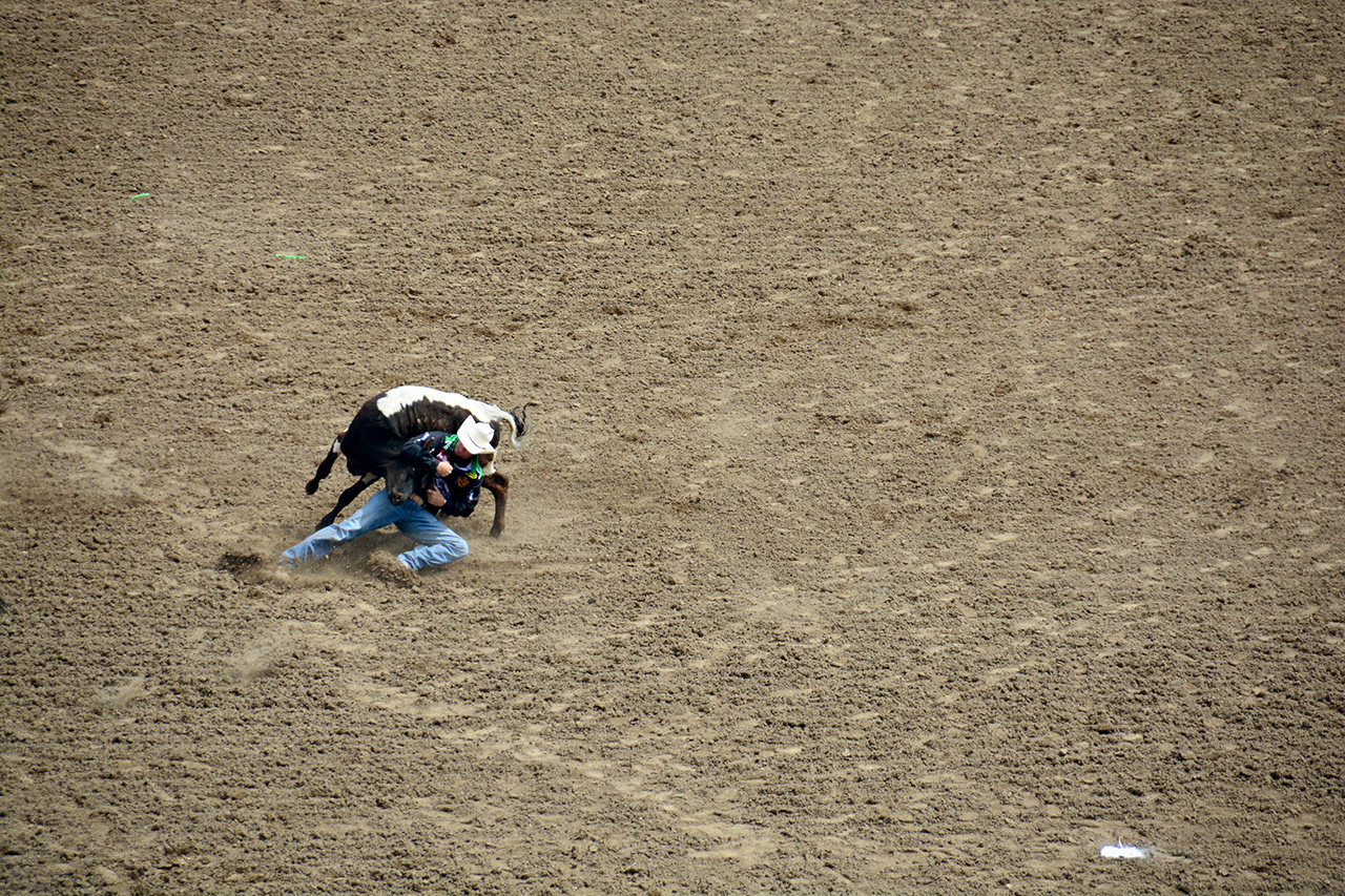 2017-07-10, 149, Calgary Stampede, AB, Steer Wrestling