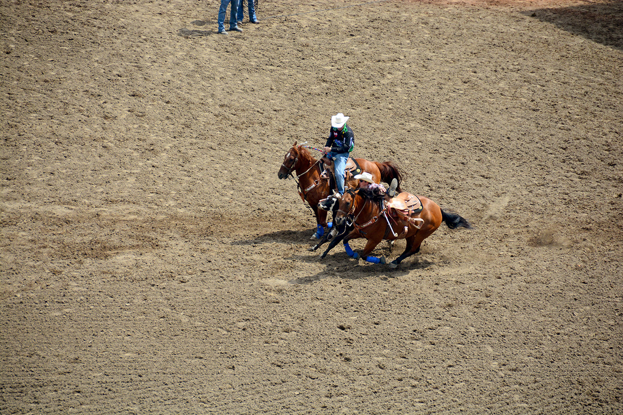 2017-07-10, 152, Calgary Stampede, AB, Steer Wrestling