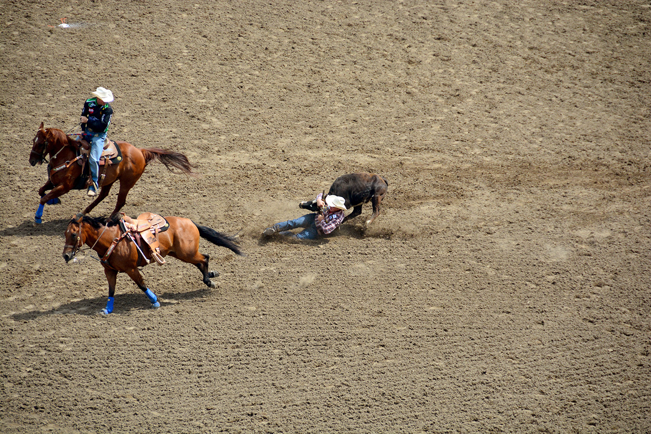 2017-07-10, 154, Calgary Stampede, AB, Steer Wrestling