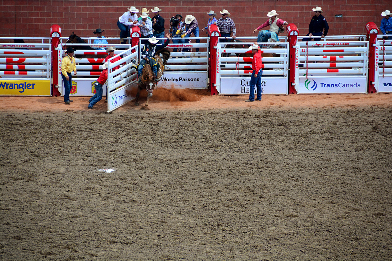2017-07-10, 155, Calgary Stampede, AB, Bareback Bronco Riding