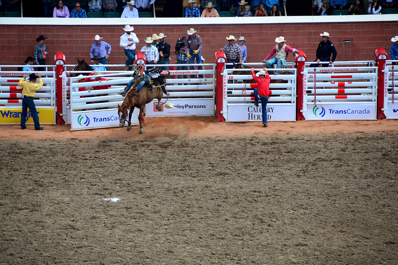 2017-07-10, 157, Calgary Stampede, AB, Bareback Bronco Riding