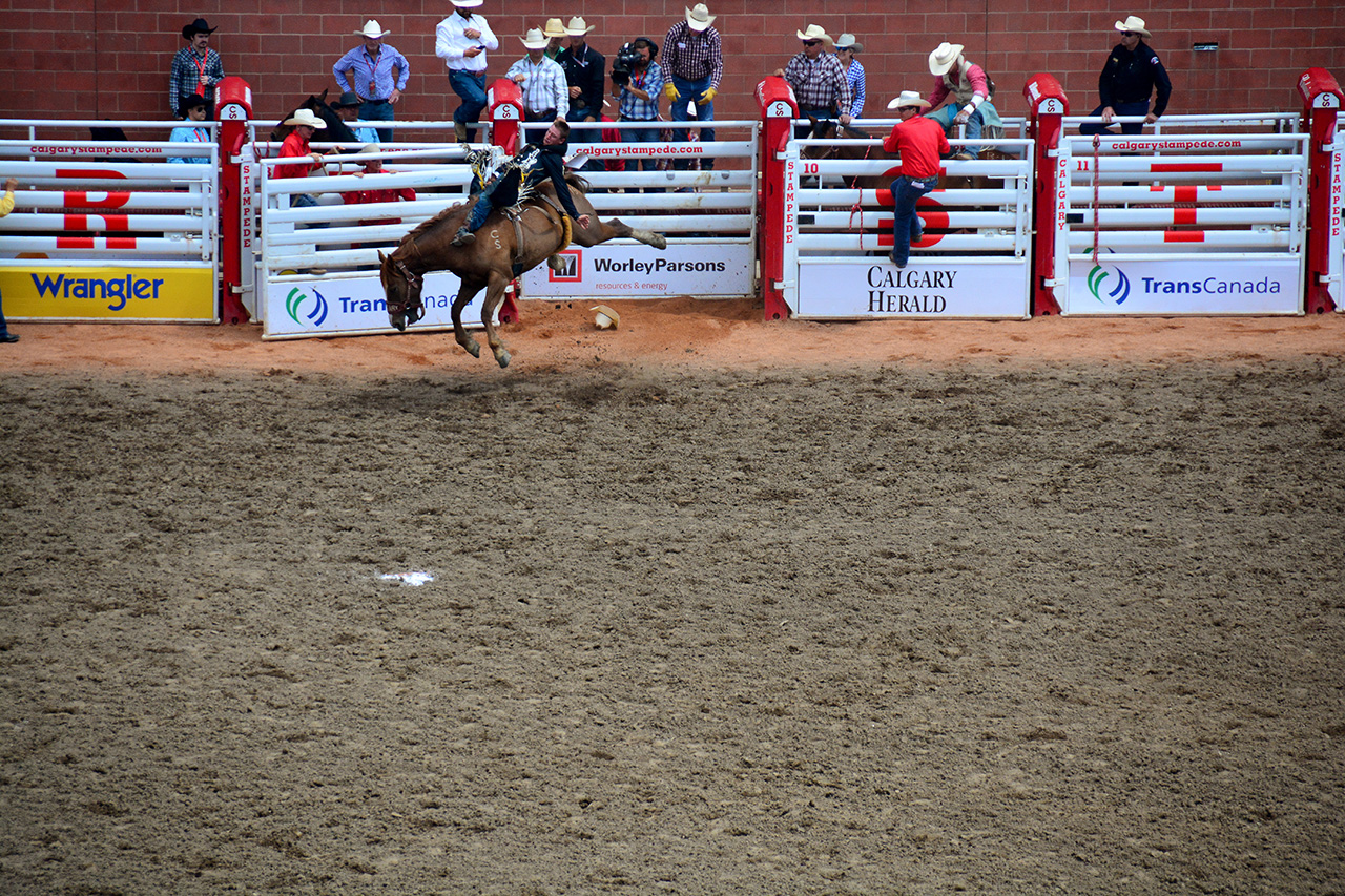 2017-07-10, 159, Calgary Stampede, AB, Bareback Bronco Riding