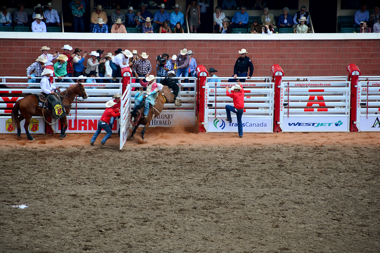 2017-07-10, 162, Calgary Stampede, AB, Bareback Bronco Riding