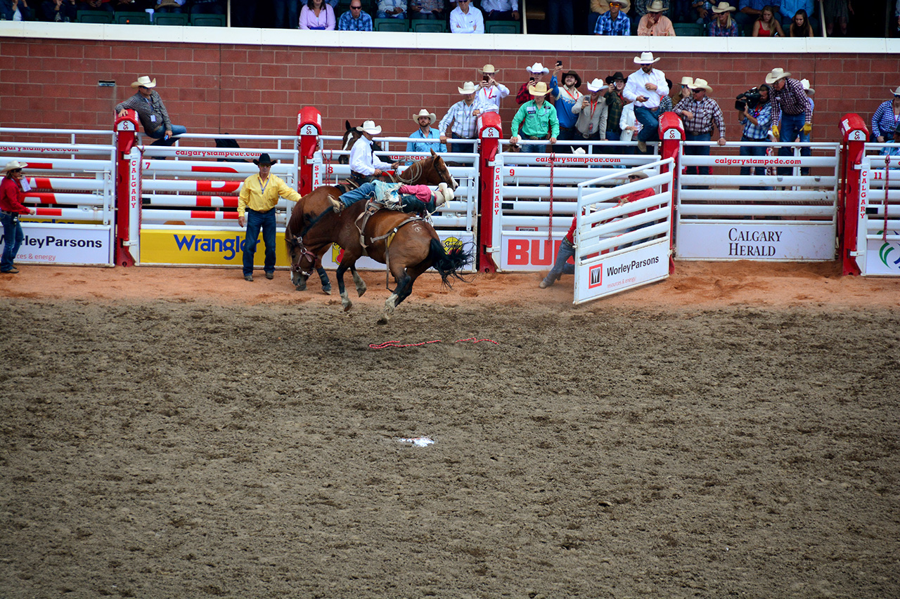 2017-07-10, 165, Calgary Stampede, AB, Bareback Bronco Riding