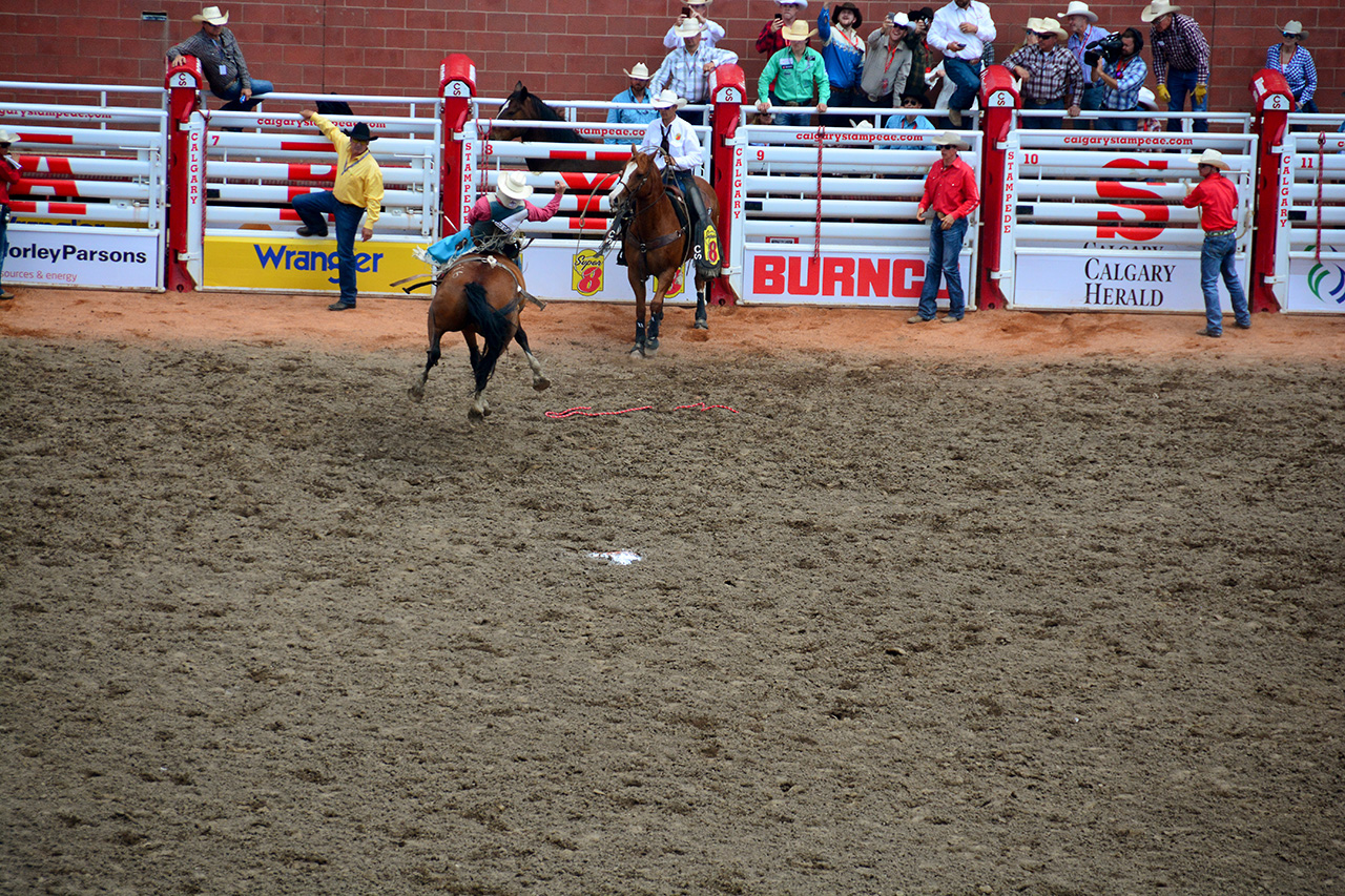 2017-07-10, 167, Calgary Stampede, AB, Bareback Bronco Riding