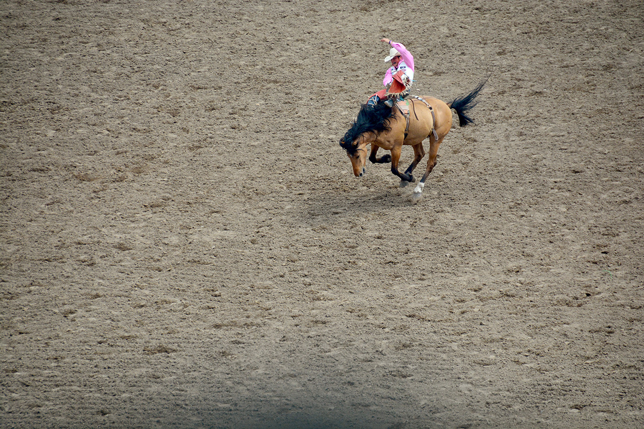 2017-07-10, 171, Calgary Stampede, AB, Bareback Bronco Riding