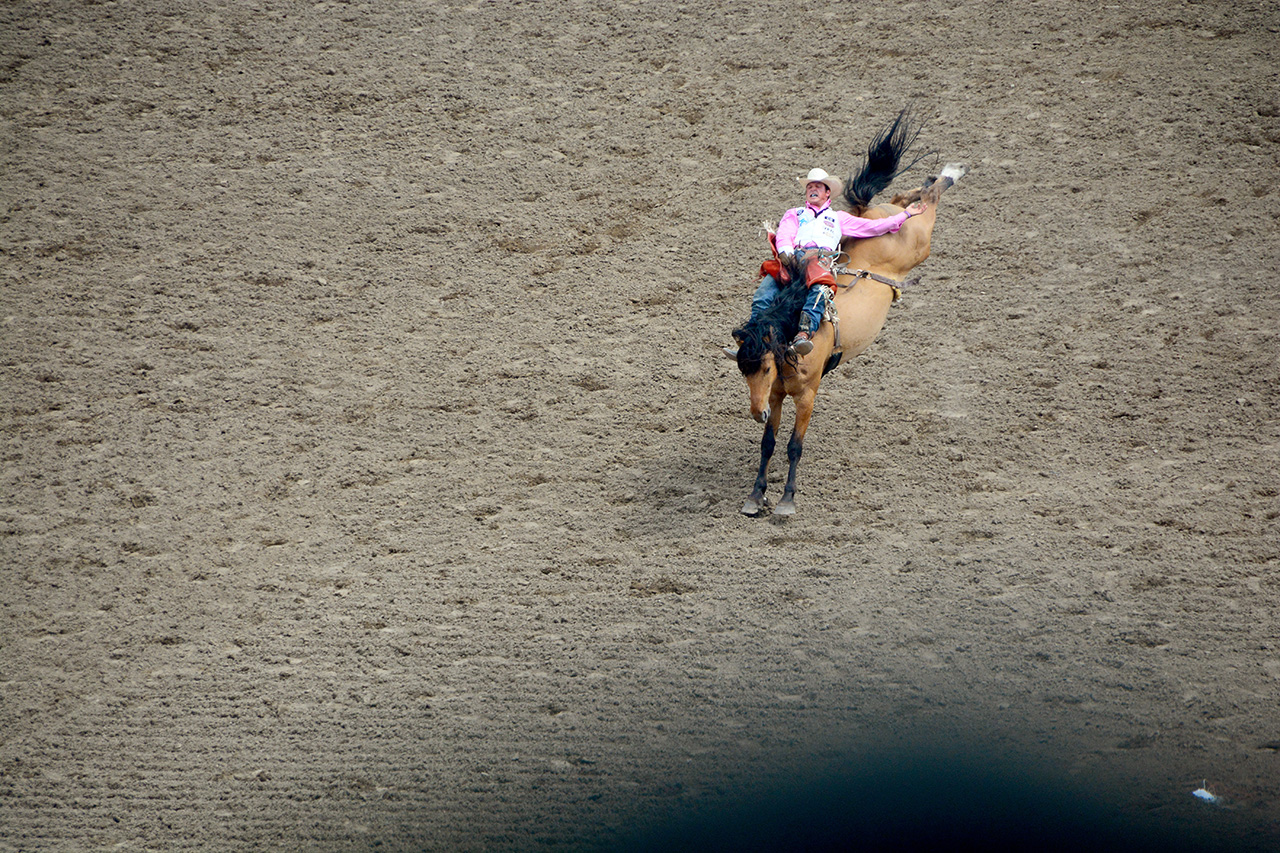 2017-07-10, 173, Calgary Stampede, AB, Bareback Bronco Riding