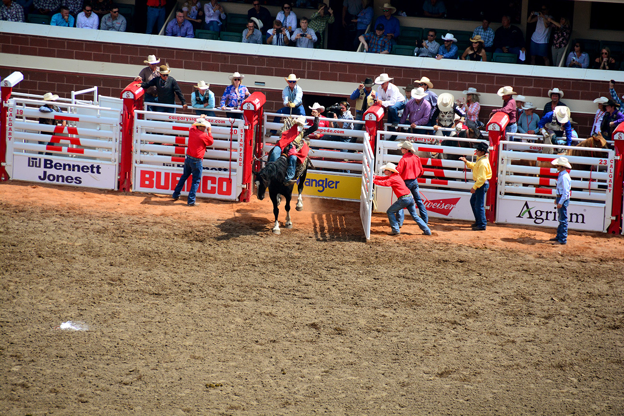 2017-07-10, 174, Calgary Stampede, AB, Bareback Bronco Riding