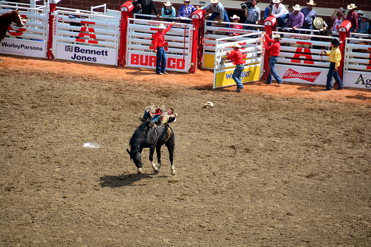 2017-07-10, 175, Calgary Stampede, AB, Bareback Bronco Riding