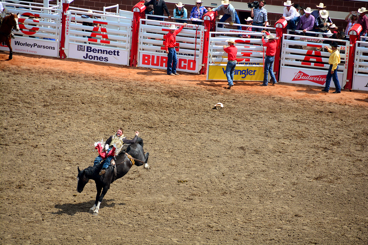 2017-07-10, 176, Calgary Stampede, AB, Bareback Bronco Riding