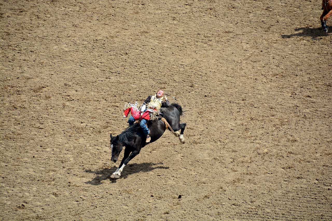 2017-07-10, 179, Calgary Stampede, AB, Bareback Bronco Riding