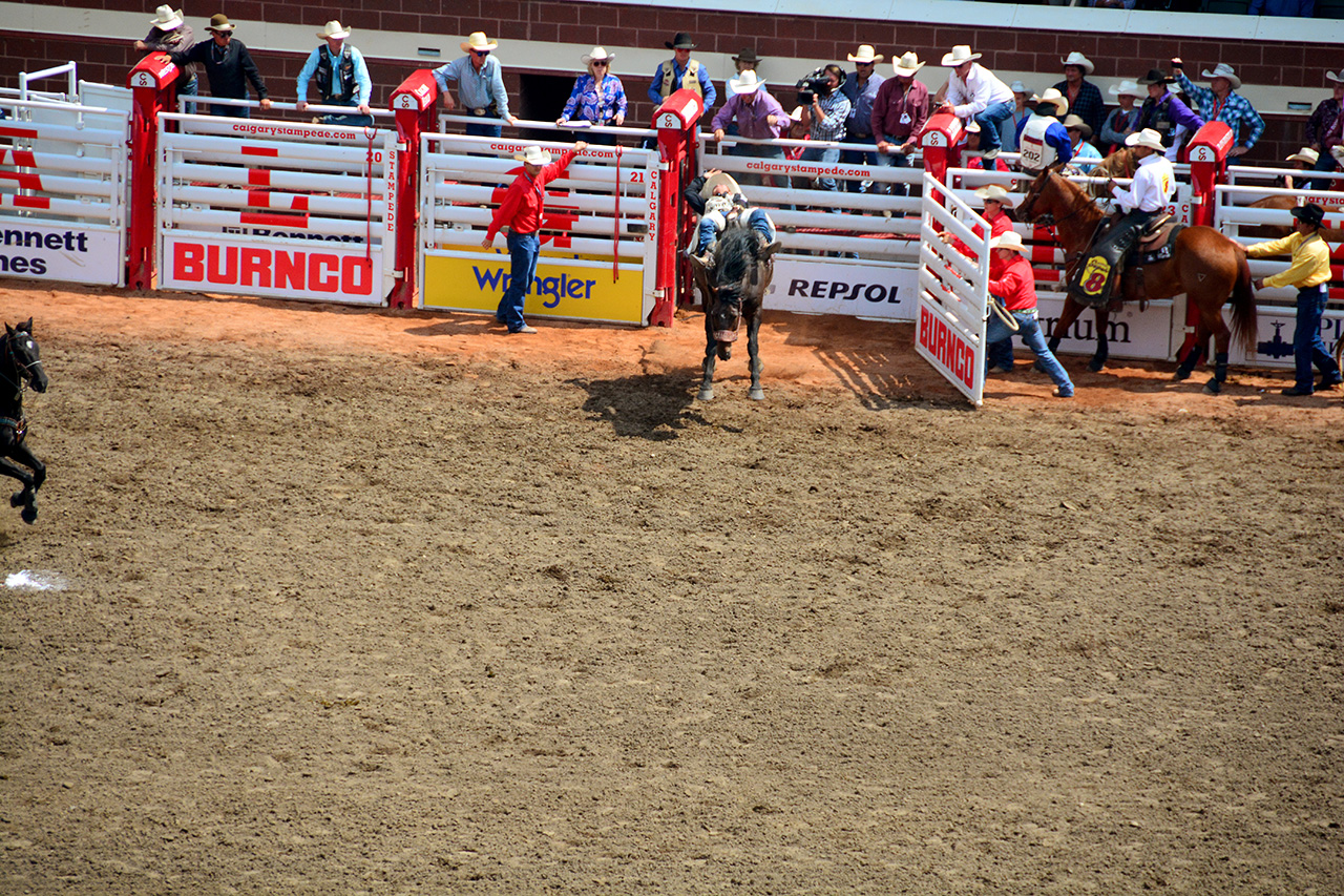 2017-07-10, 181, Calgary Stampede, AB, Bareback Bronco Riding
