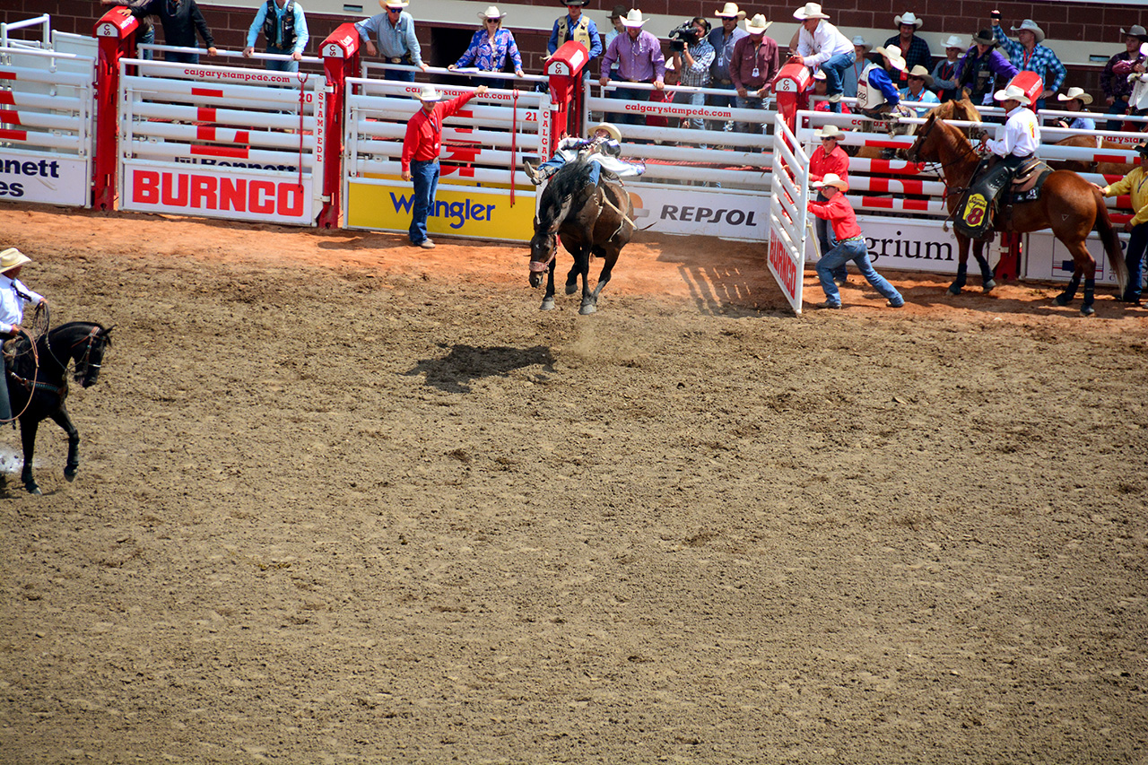 2017-07-10, 182, Calgary Stampede, AB, Bareback Bronco Riding