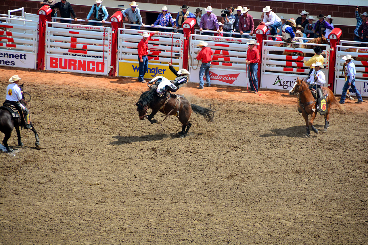 2017-07-10, 183, Calgary Stampede, AB, Bareback Bronco Riding