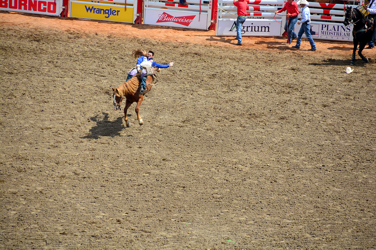 2017-07-10, 185, Calgary Stampede, AB, Bareback Bronco Riding