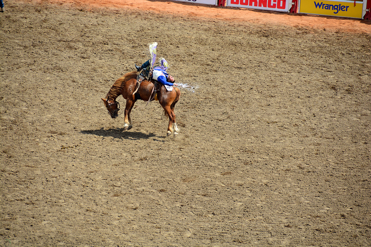 2017-07-10, 186, Calgary Stampede, AB, Bareback Bronco Riding