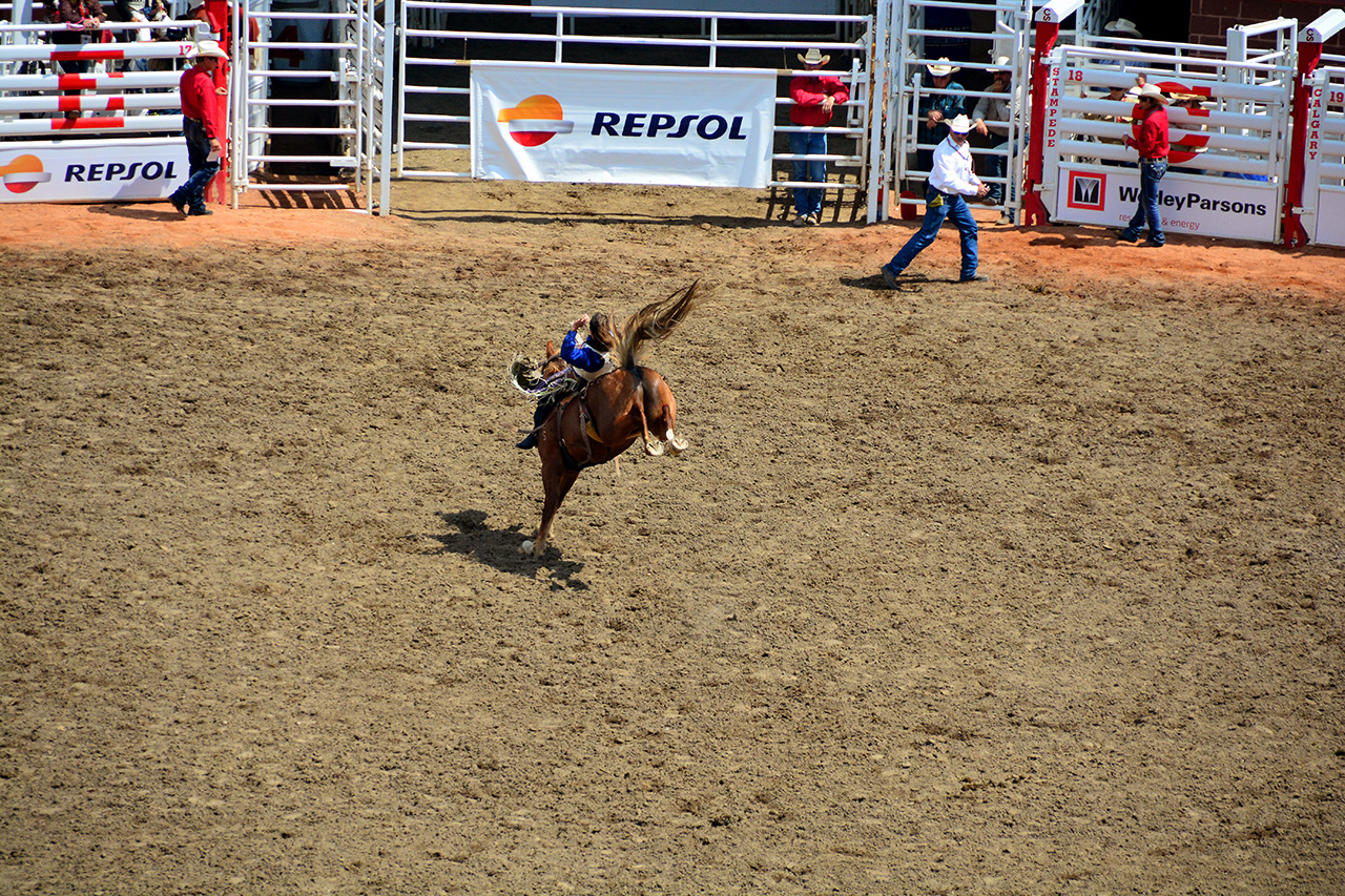 2017-07-10, 190, Calgary Stampede, AB, Bareback Bronco Riding