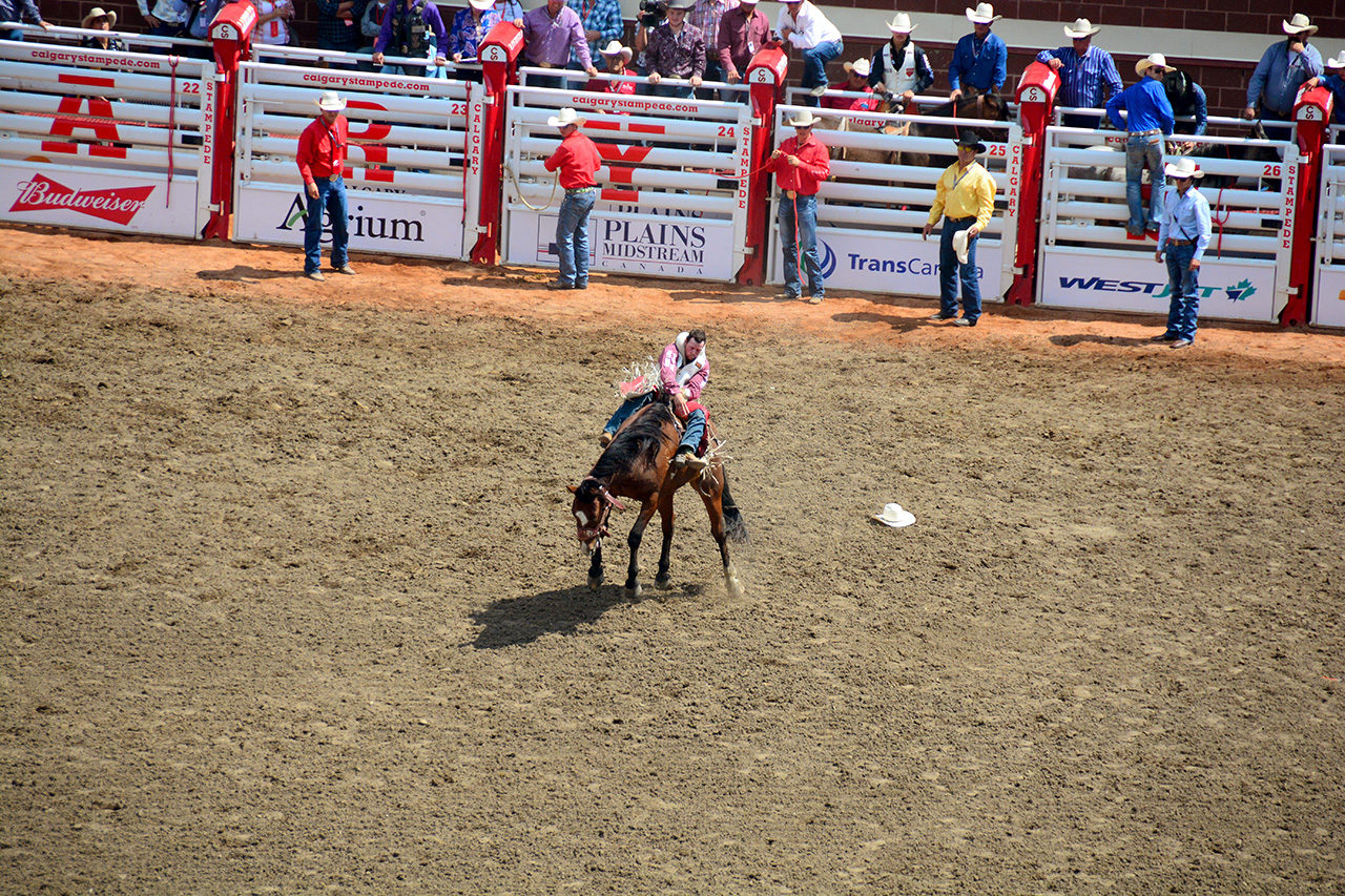 2017-07-10, 192, Calgary Stampede, AB, Bareback Bronco Riding