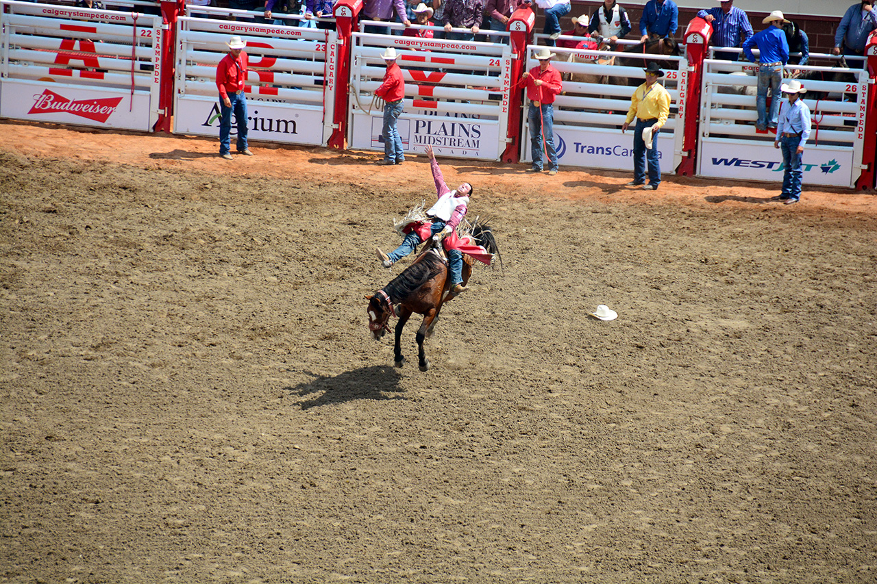 2017-07-10, 193, Calgary Stampede, AB, Bareback Bronco Riding
