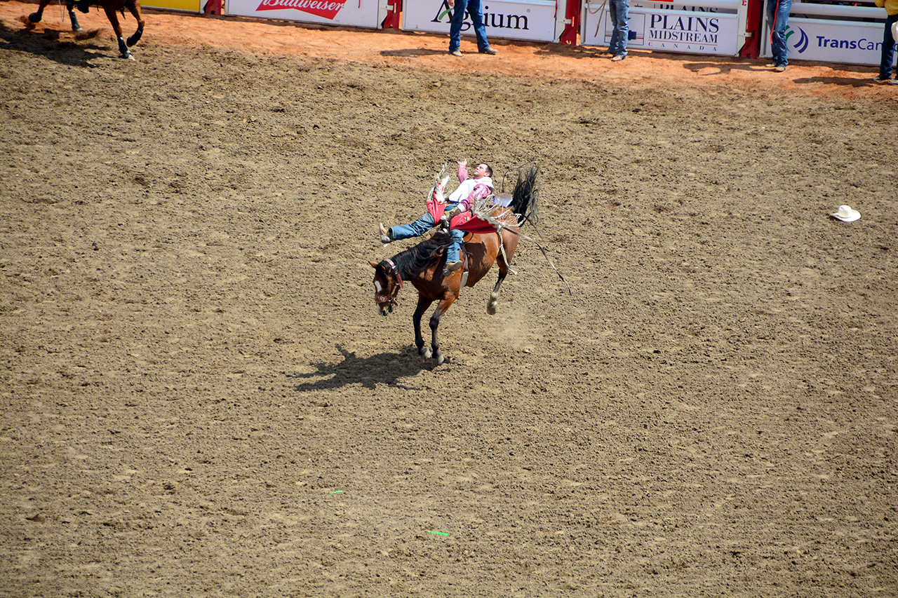 2017-07-10, 194, Calgary Stampede, AB, Bareback Bronco Riding