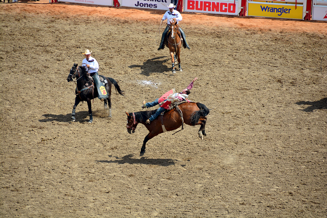 2017-07-10, 196, Calgary Stampede, AB, Bareback Bronco Riding