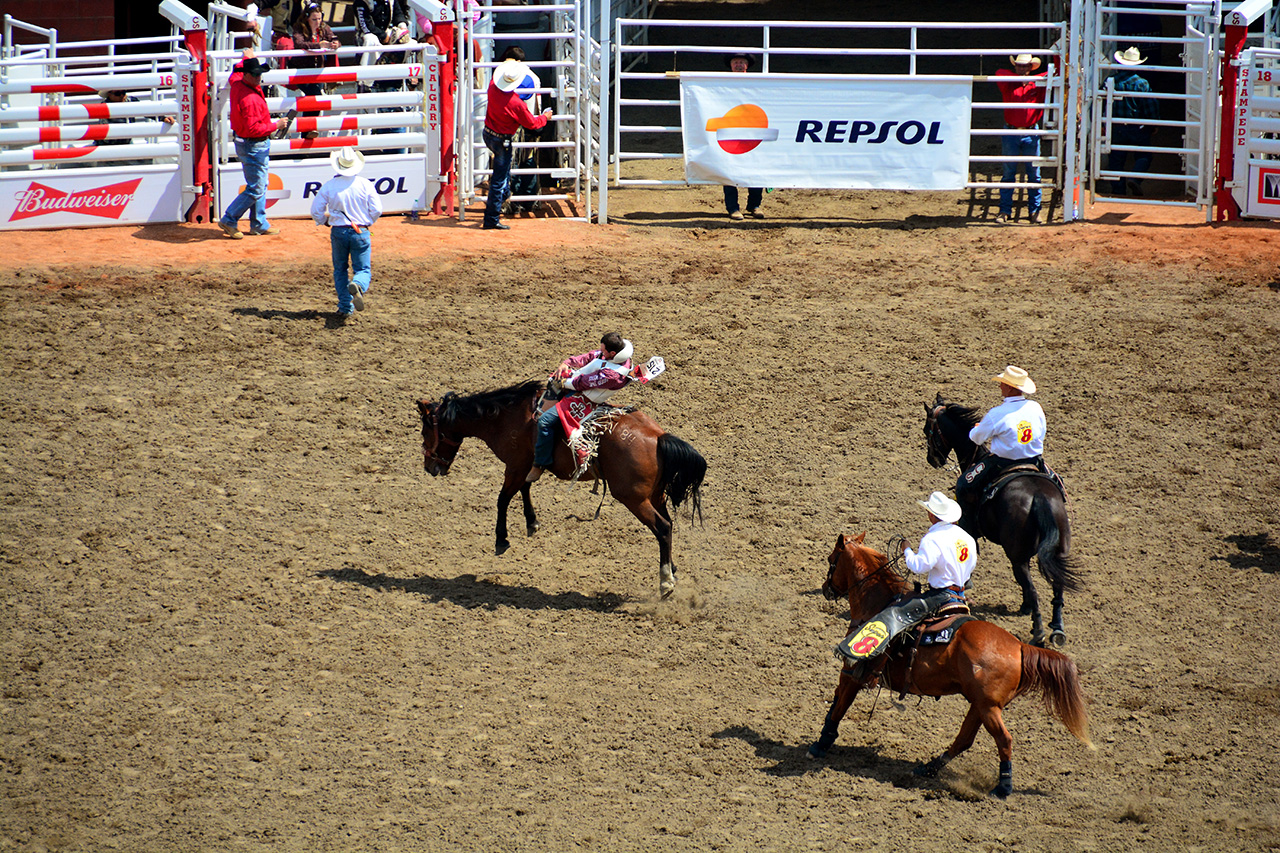 2017-07-10, 197, Calgary Stampede, AB, Bareback Bronco Riding
