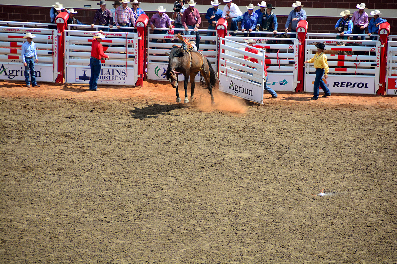 2017-07-10, 202, Calgary Stampede, AB, Bareback Bronco Riding