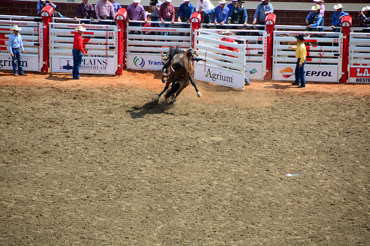 2017-07-10, 203, Calgary Stampede, AB, Bareback Bronco Riding