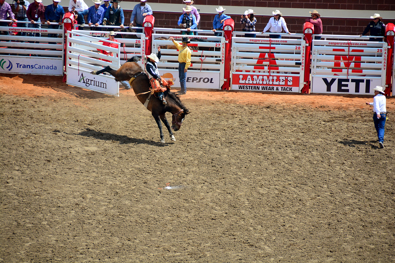 2017-07-10, 204, Calgary Stampede, AB, Bareback Bronco Riding