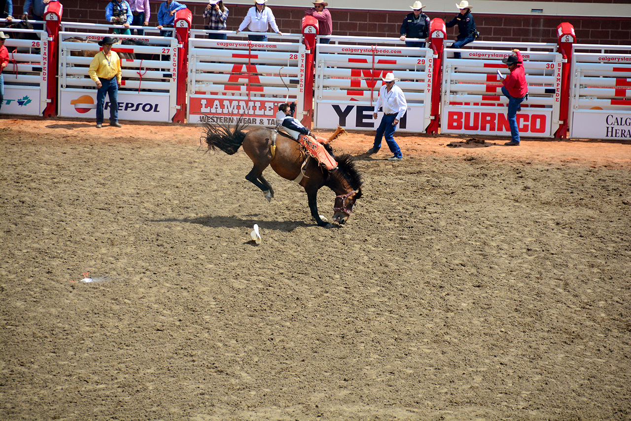 2017-07-10, 206, Calgary Stampede, AB, Bareback Bronco Riding