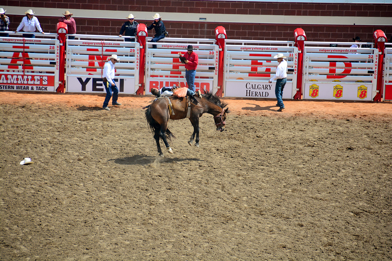 2017-07-10, 211, Calgary Stampede, AB, Bareback Bronco Riding