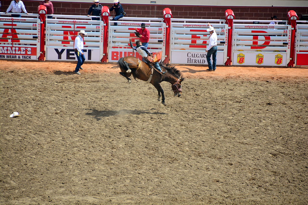 2017-07-10, 212, Calgary Stampede, AB, Bareback Bronco Riding