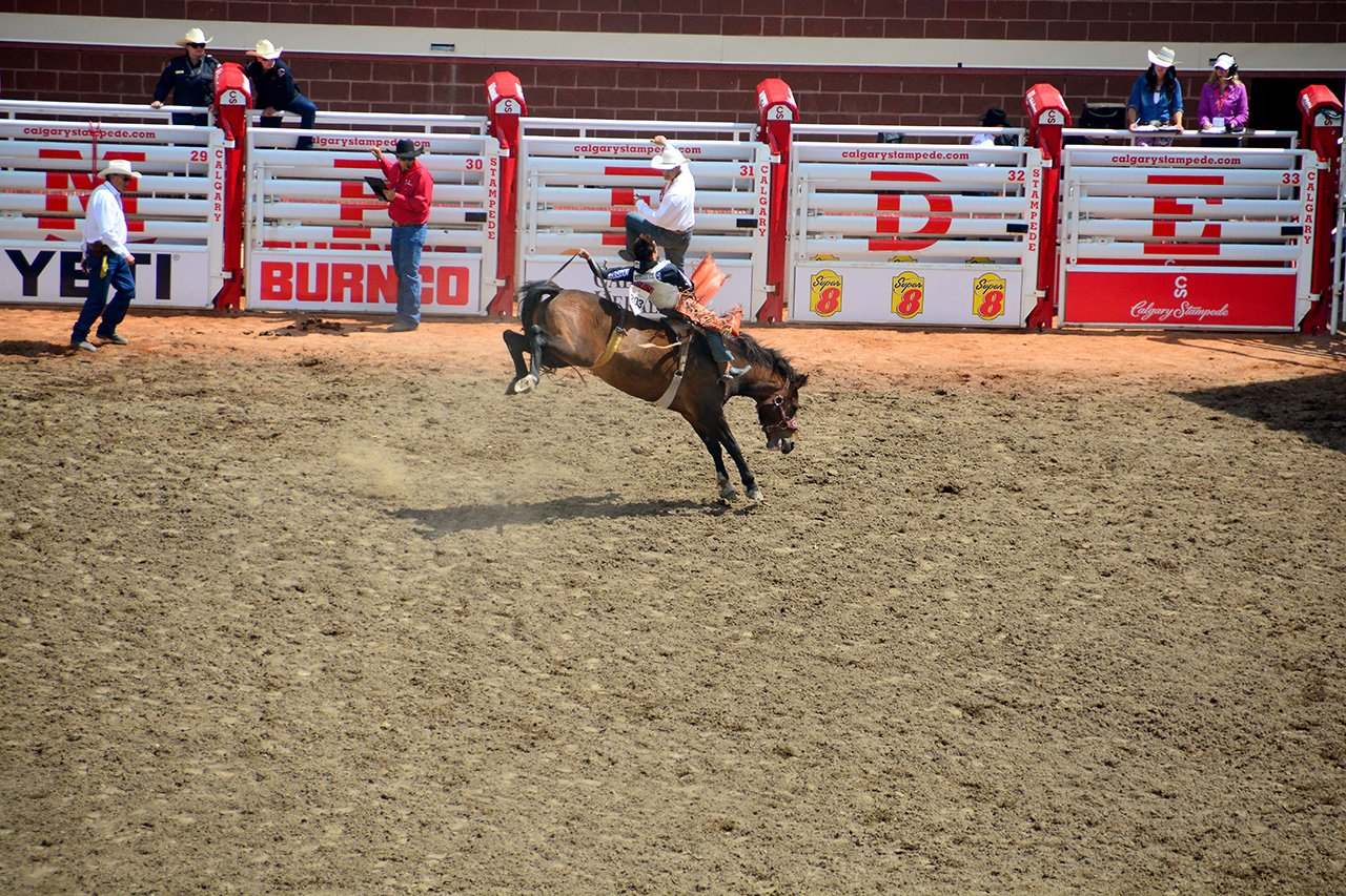 2017-07-10, 213, Calgary Stampede, AB, Bareback Bronco Riding