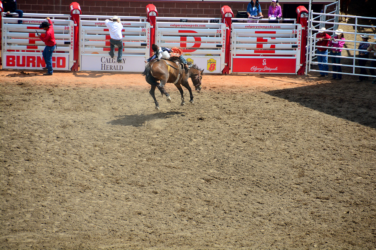 2017-07-10, 214, Calgary Stampede, AB, Bareback Bronco Riding